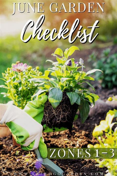 june gardens blog chanel 5|Summer Gardening: June Garden Checklist Zones 4.